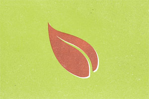 Leaf