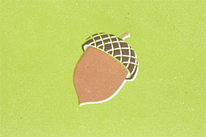 Acorn